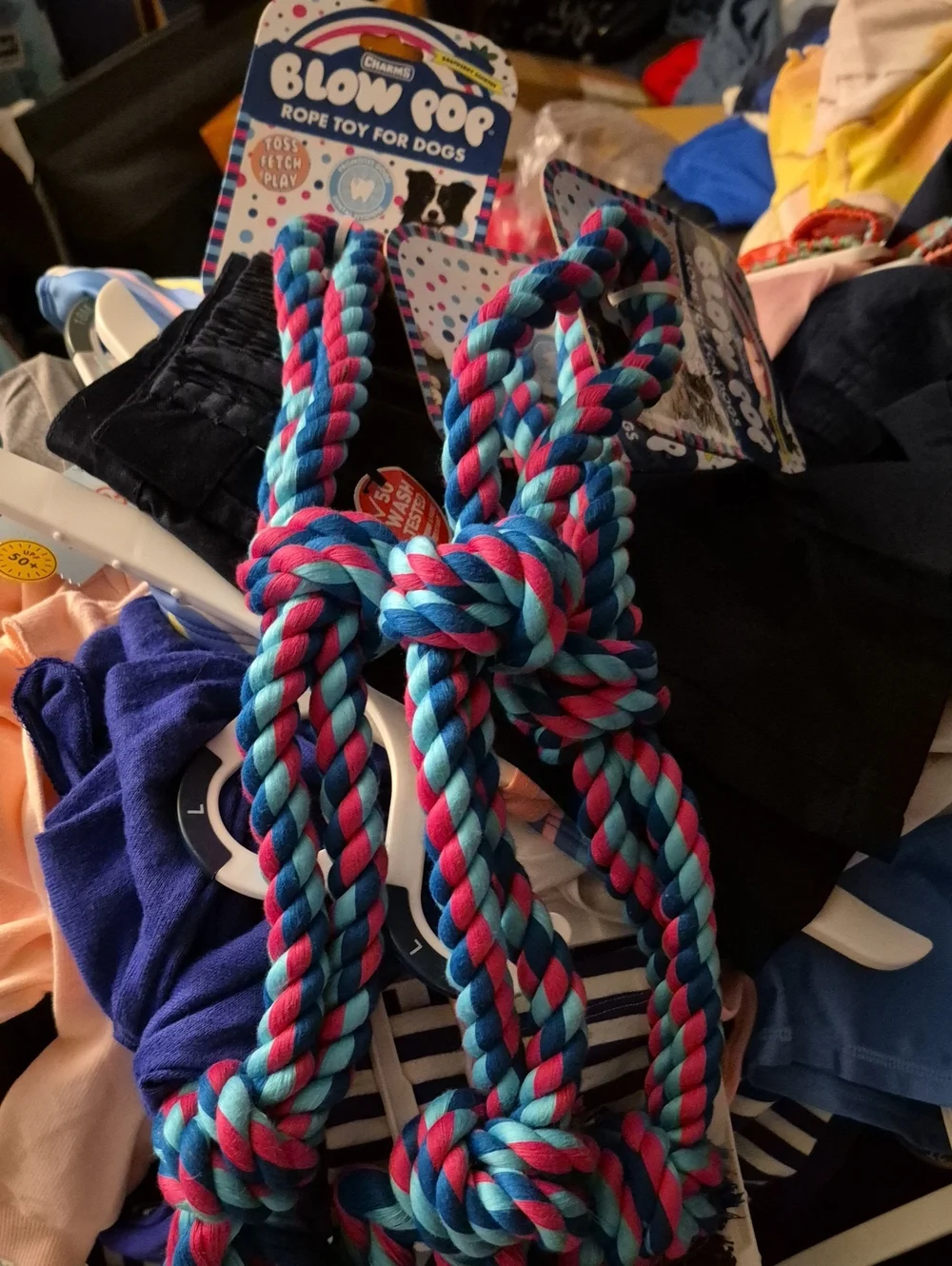 Blow Pop Loop Dog Rope - New